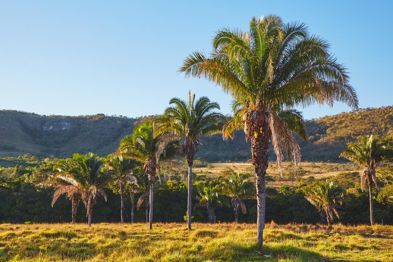 فيلا Eit Eco Inteligente Alto Paraíso de Goiás المظهر الخارجي الصورة