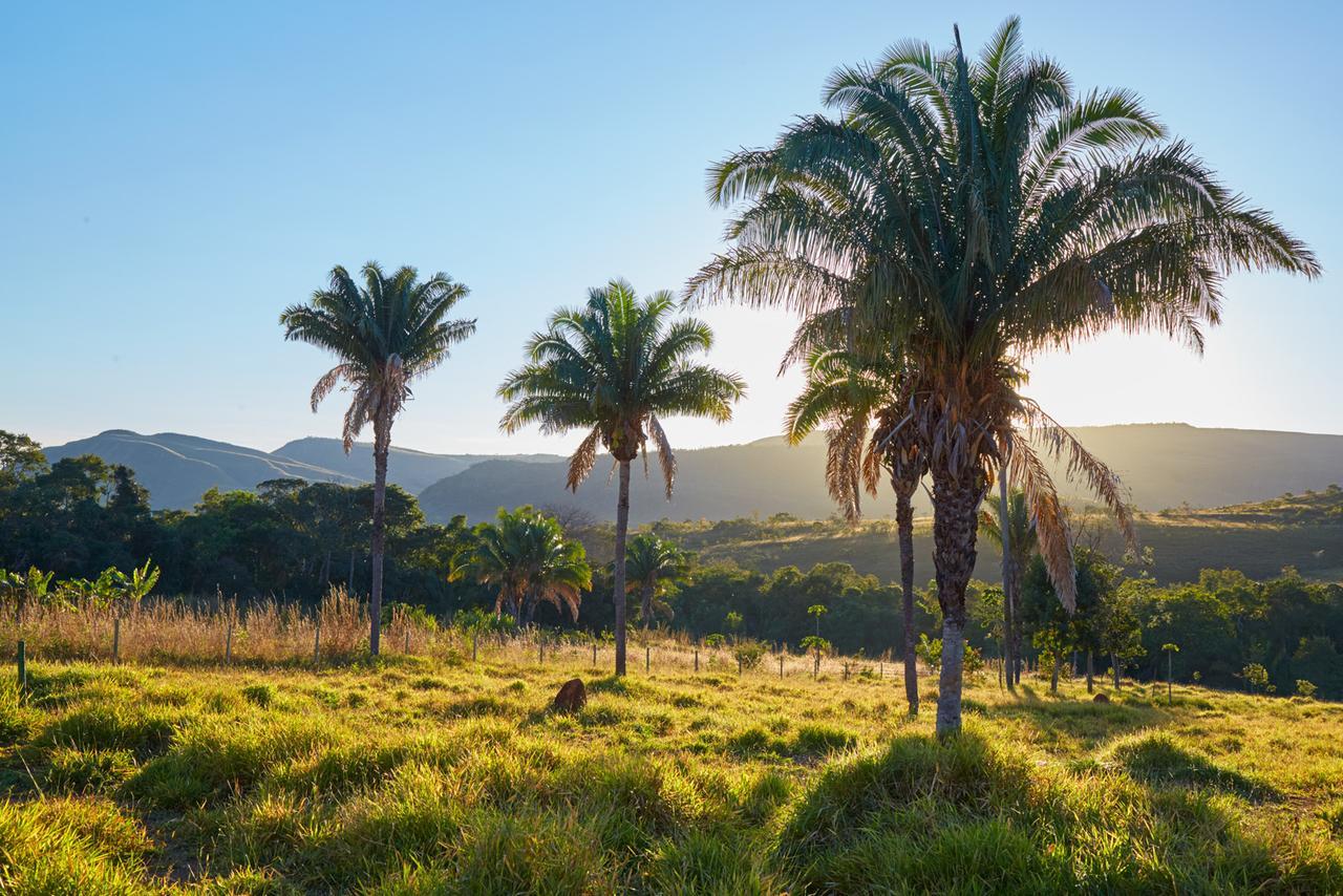 فيلا Eit Eco Inteligente Alto Paraíso de Goiás المظهر الخارجي الصورة