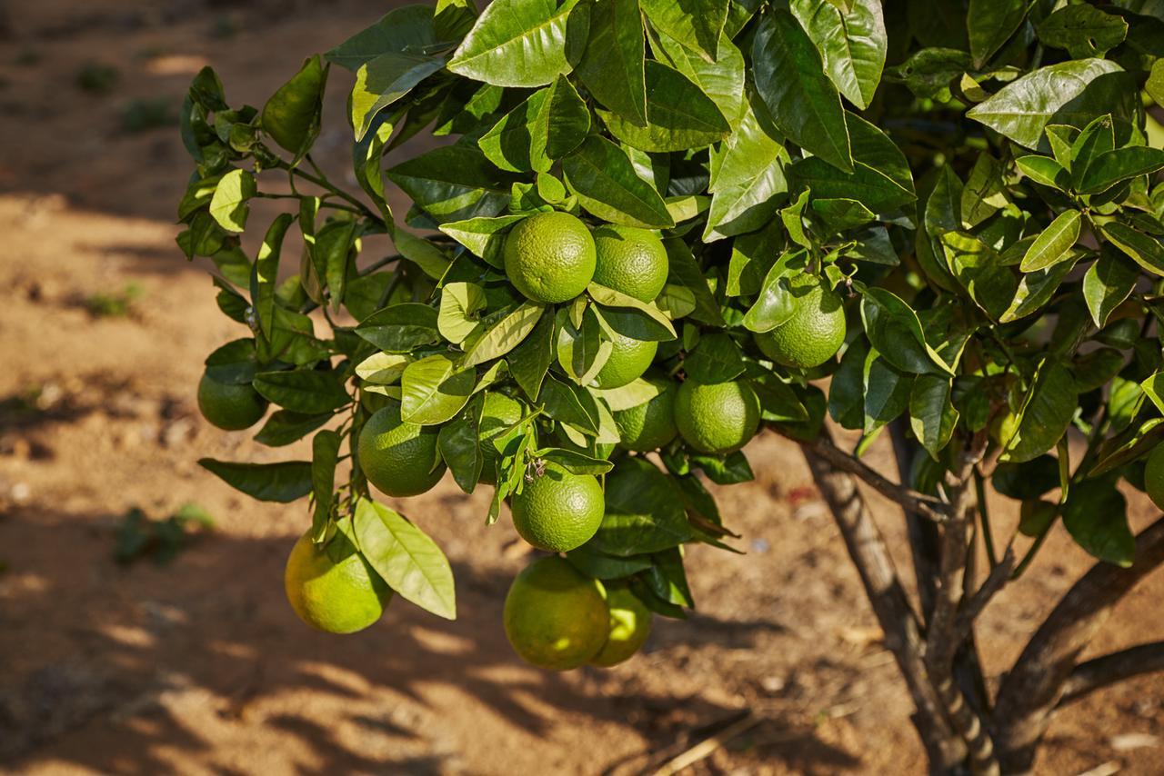فيلا Eit Eco Inteligente Alto Paraíso de Goiás المظهر الخارجي الصورة